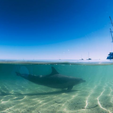 Rockingham, Western Australia