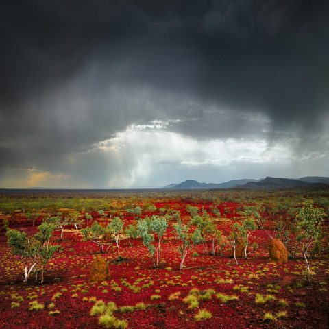 A Storms Brewing, Western Australia