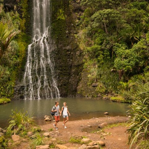 Waitakere Ranges Auckland