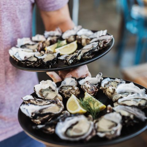 Bruny Island Oysters