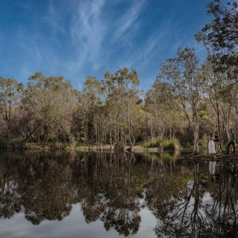 Byron Bay Wilderness, Northern New South Wales