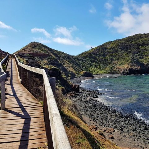 Hiking Along The Coast, Victoria