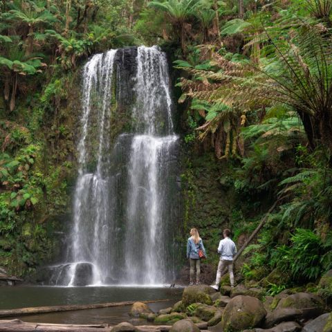 Great Otway National Park, Victoria