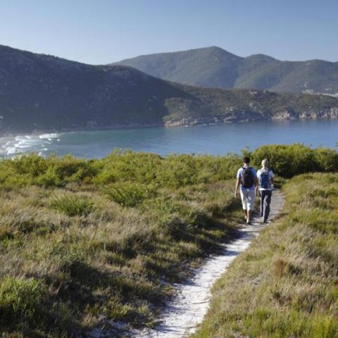 Hiking In Wilsons Promontory National Park, Victoria