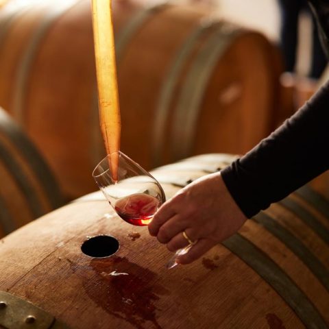 Barrel Tasting