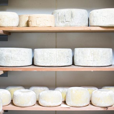 Bruny Island Cheese Co.