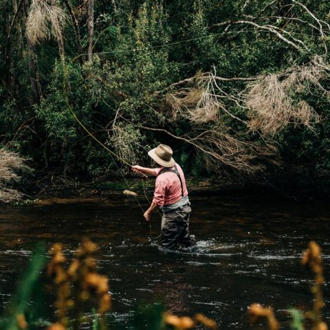 Fly Fishing On St Patricks River