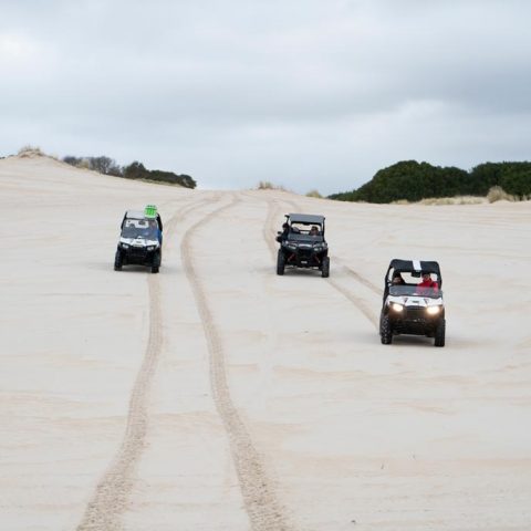 4WD Buggy's On The Henty Dunes