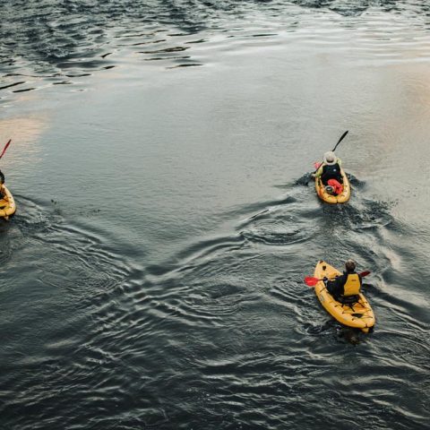 Kayaking On The River Derwent