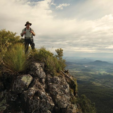 Hiking In The Main Ridge National Park