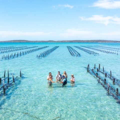 Coffin Bay Oyster Farm