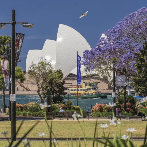 Sydney Opera House View From The Rocks, New South Wales